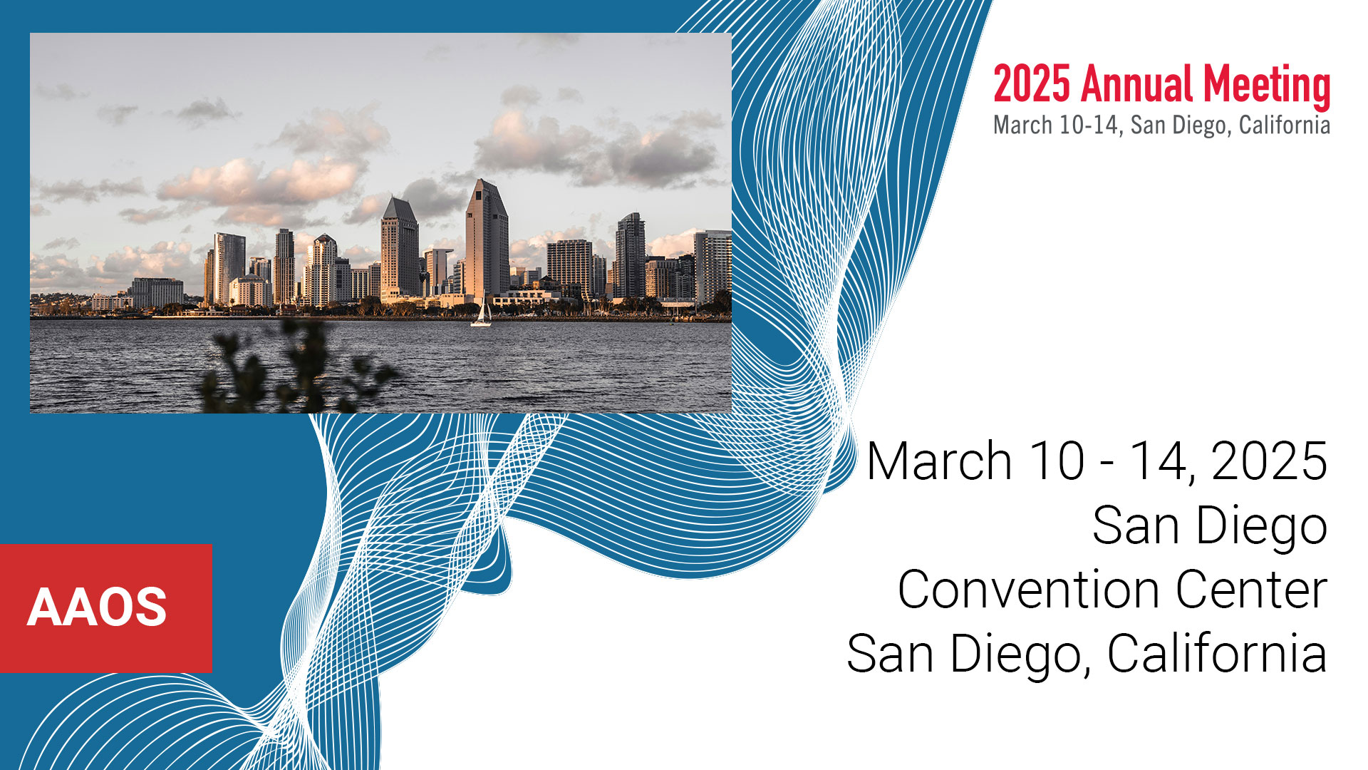 AAOS2025